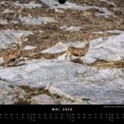 M&M Calendar 2026: May