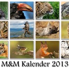 2013 Calendar Cover